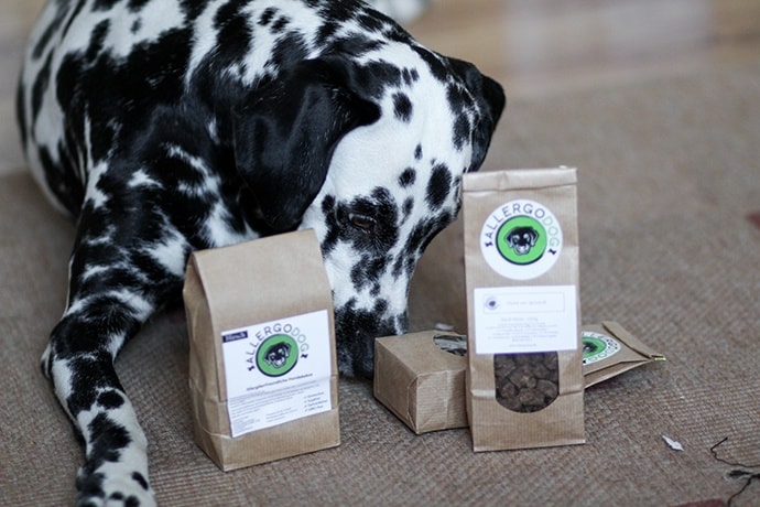 food for dogs with a sensitive digestion system