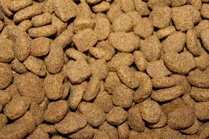 best dog food for labrador puppies